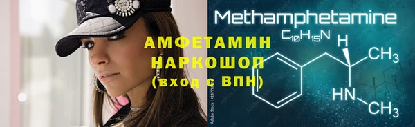 шишки Гусиноозёрск