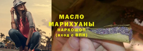 шишки Гусиноозёрск
