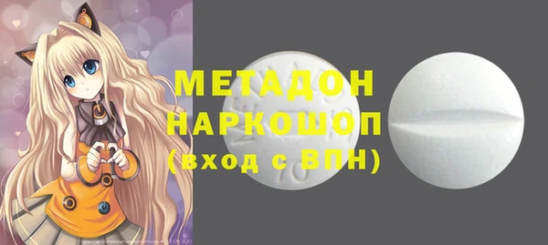 шишки Гусиноозёрск