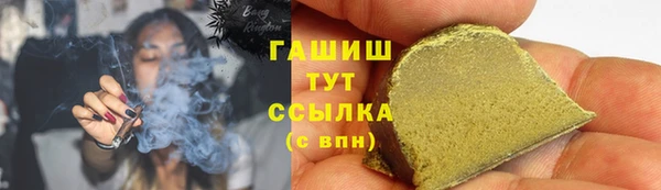 PSILOCYBIN Гусь-Хрустальный