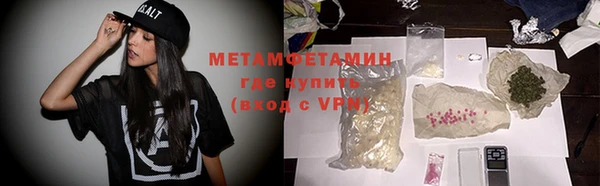 шишки Гусиноозёрск