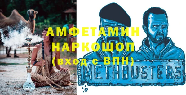шишки Гусиноозёрск