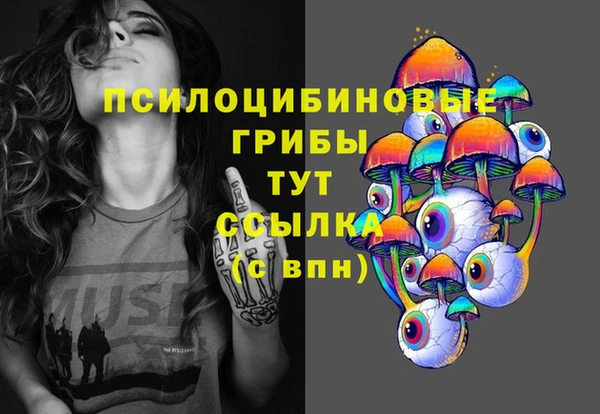 PSILOCYBIN Гусь-Хрустальный