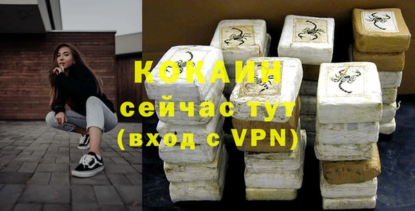 шишки Гусиноозёрск