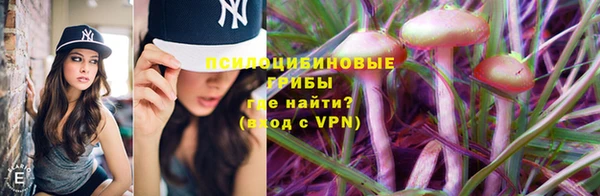 MDMA Гусев