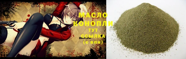 шишки Гусиноозёрск