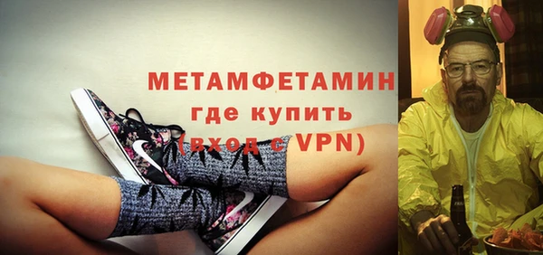 шишки Гусиноозёрск