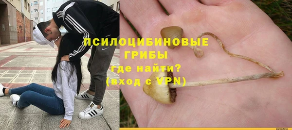 шишки Гусиноозёрск