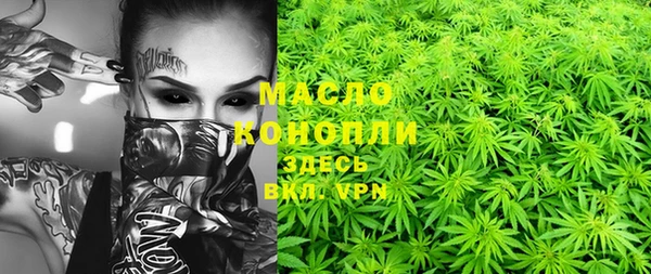шишки Гусиноозёрск