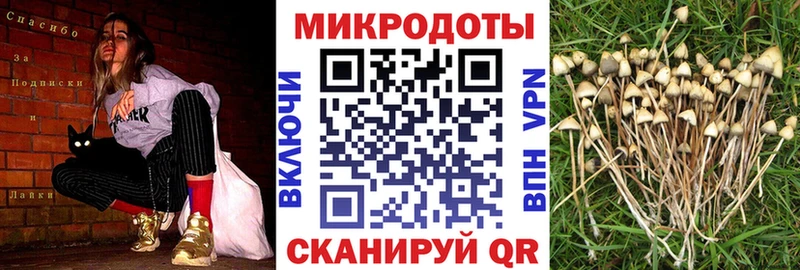 где купить наркоту Безенчук Псилоцибиновые грибы Psilocybine cubensis